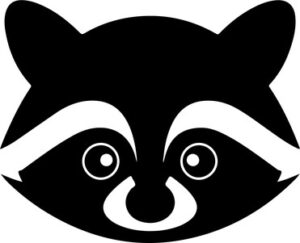 Raccoon Head
