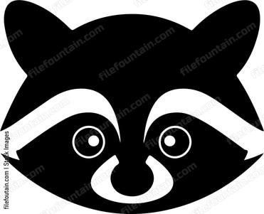 Raccoon Head