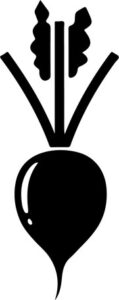 Raddish
