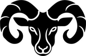 Ram