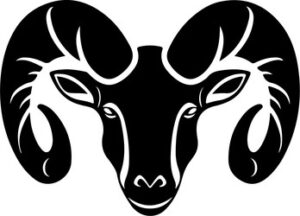 Ram Head