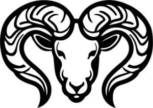 Ram Sheep Design