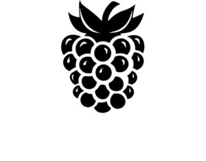 Raspberry
