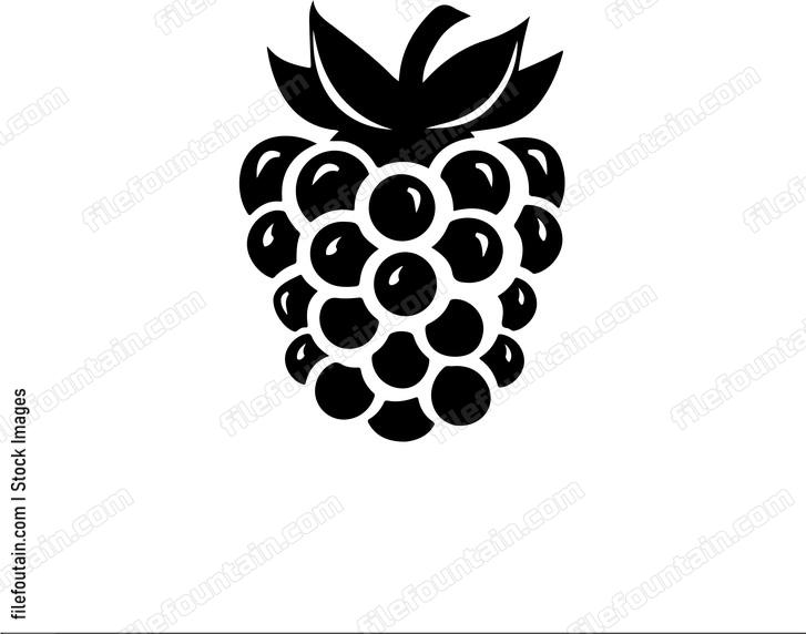 Raspberry