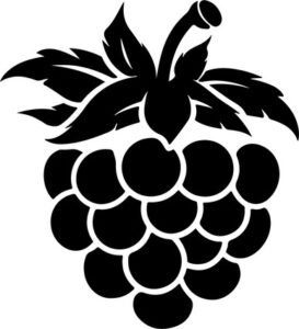 Raspberry