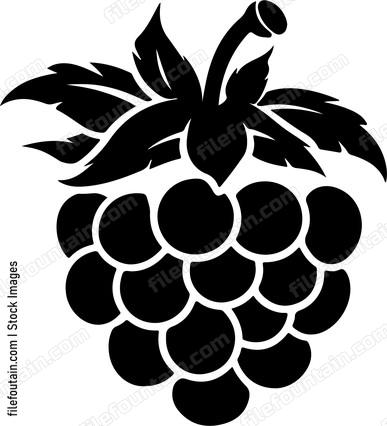 Raspberry