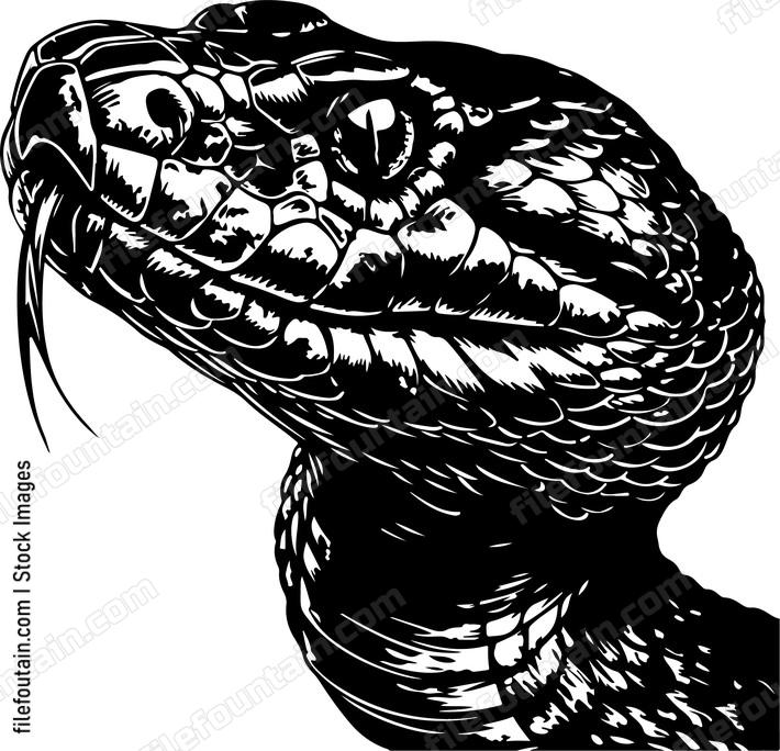 rattlesnake