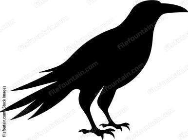 Raven