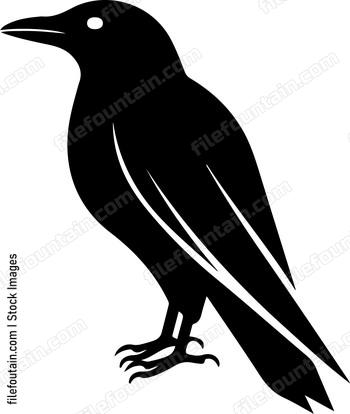 Raven