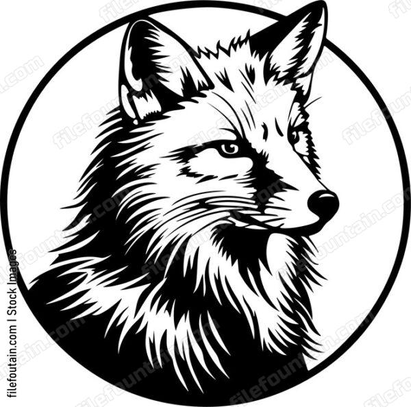 Red Fox