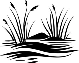 Reeds and grass in water