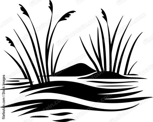 Reeds and grass in water