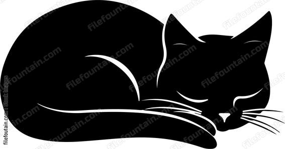 Resting Cat
