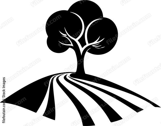 Road Plain Tree