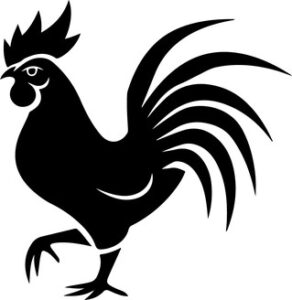 Rooster in minimal style