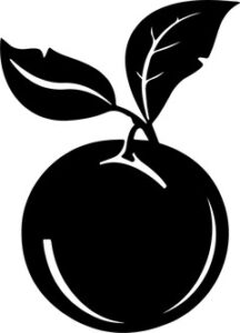 Round fruit with two leaves