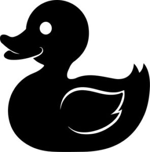 Rubber Duck Style