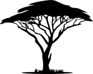 Safari Tree Africa