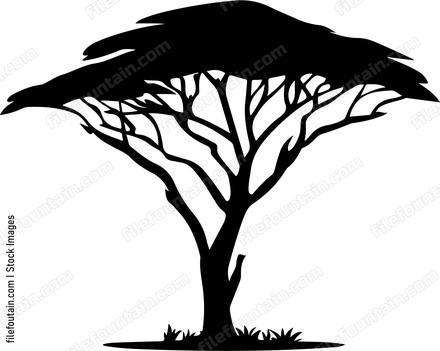Safari Tree Africa