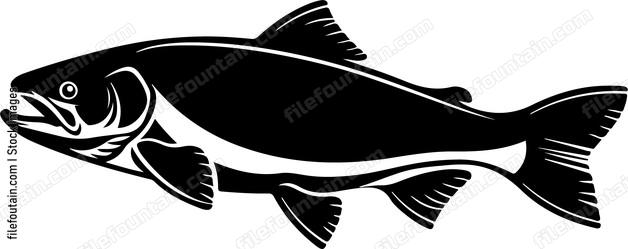 Salmon