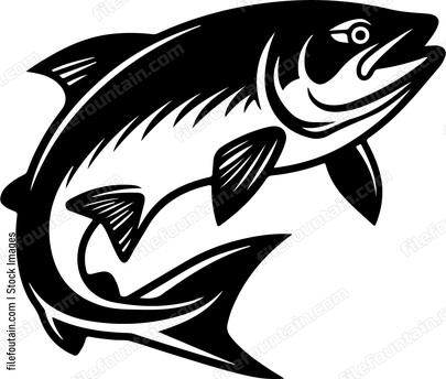 Salmon Fishing