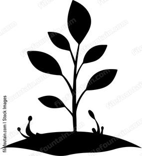 Sapling Tree