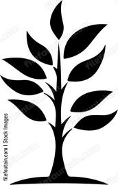 Sapling Tree