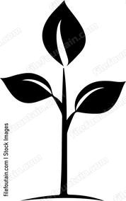 Sapling Tree