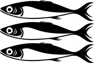 Sardines