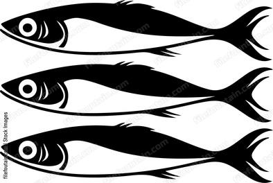 Sardines