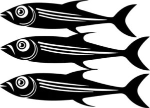Sardines