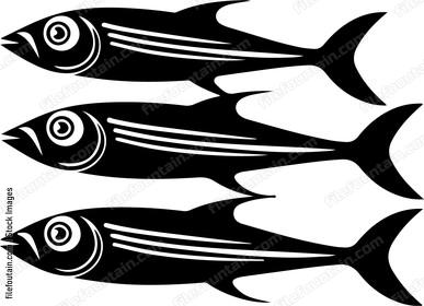 Sardines