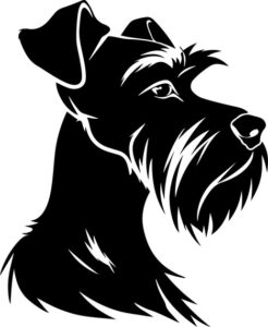 Schnauzer