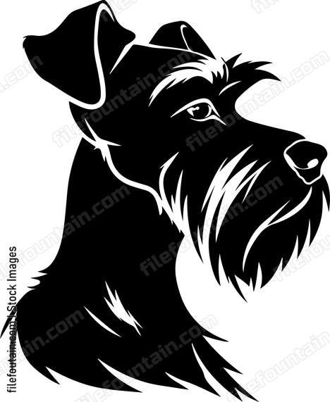Schnauzer