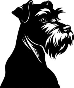 Schnauzer