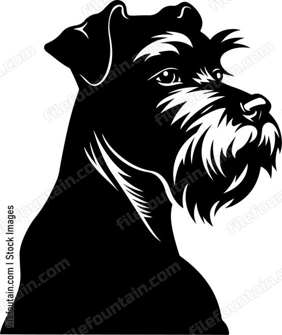 Schnauzer