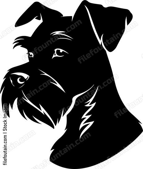 Schnauzer