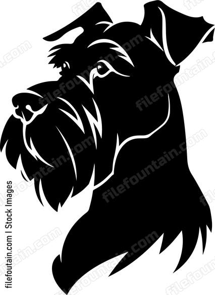 Schnauzer