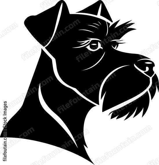 Schnauzer