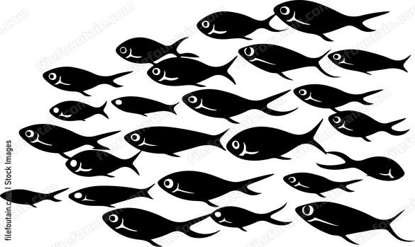 School Of Fish