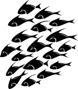School Of Fish Design