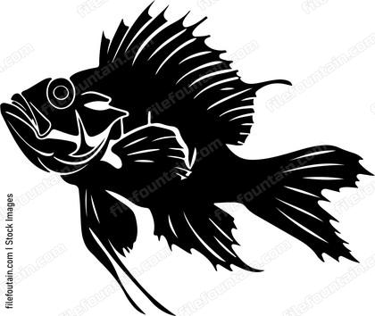 Scorpionfish
