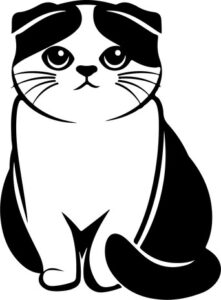 Scottish Fold