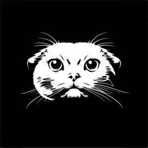 Scottish Fold Cat