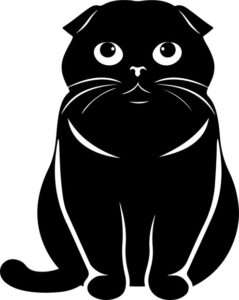 Scottish Fold Cat