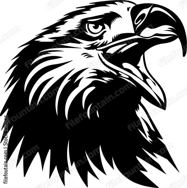 Screaming Bald Eagle