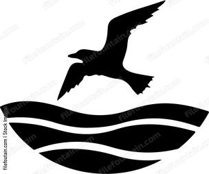 Sea Bird