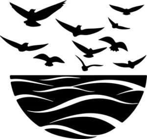 Sea Bird Flock