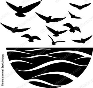 Sea Bird Flock