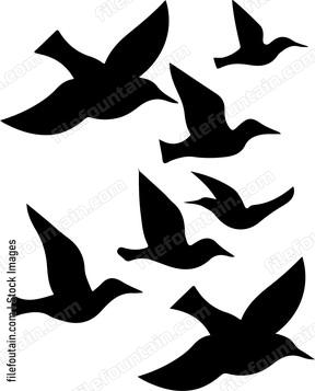 Sea Bird Flock